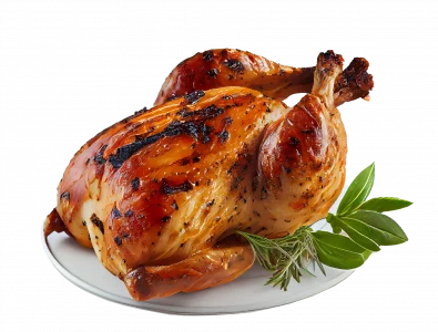 delicious-grilled-chicken-cutout-png